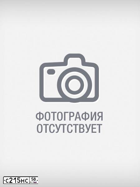 Фото автомобиля RENAULT DUSTER, 2016 — госномер С215НС58. Цвет: ЗЕЛЕНЫЙ