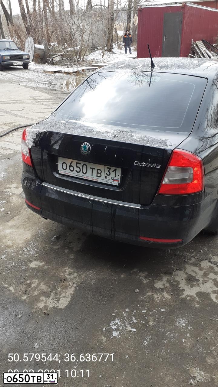 Фото автомобиля SKODA OCTAVIA, 2012 — госномер С144ВК46. Цвет: ЧЕРНЫЙ