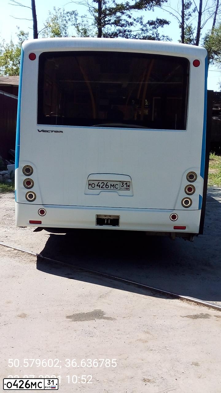Фото автомобиля PAZ 3204, 2017 — госномер О426МС31. Цвет: БЕЛЫЙ