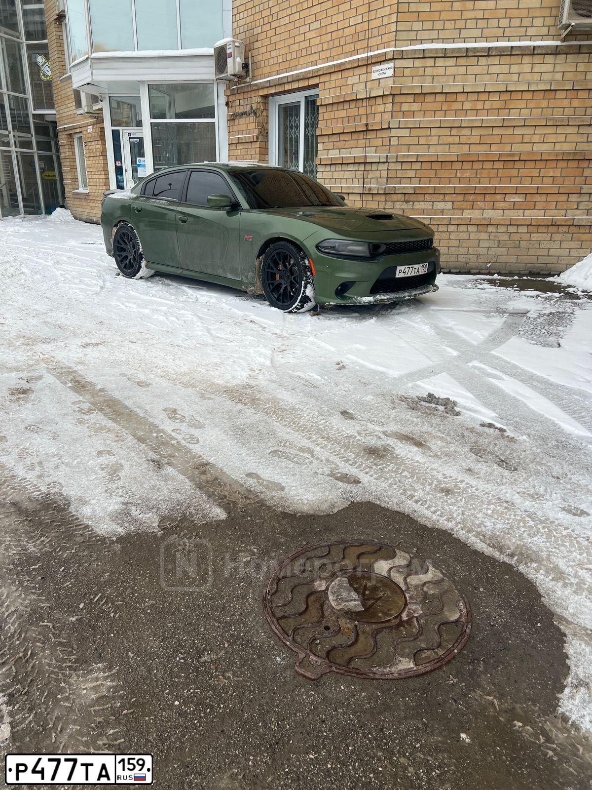Фото автомобиля DODGE CHARGER, 2019 — госномер М323ХА95. Цвет: ЗЕЛЕНЫЙ