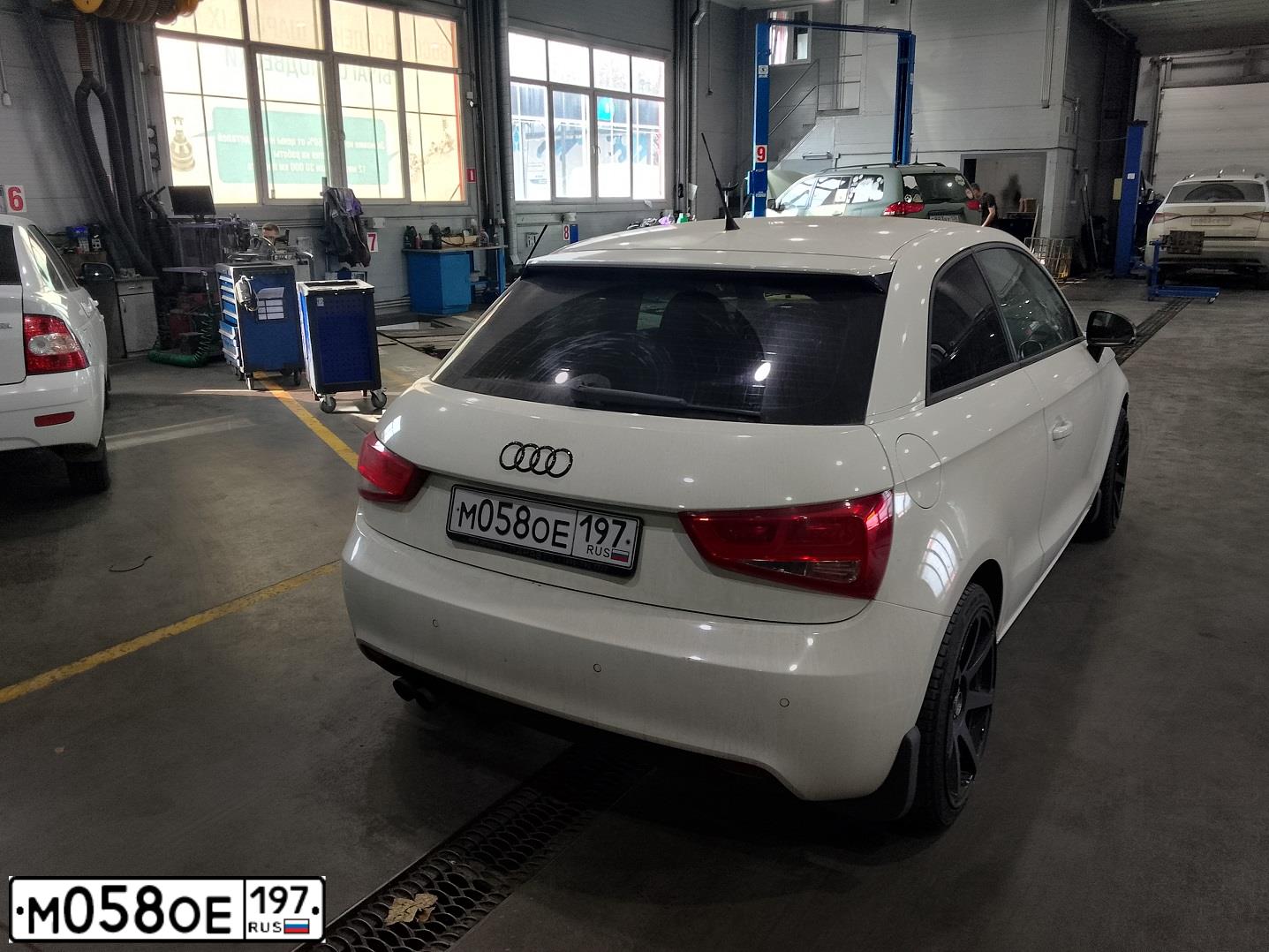 Фото автомобиля AUDI A1, 2011 — госномер М221МР136. Цвет: Белый