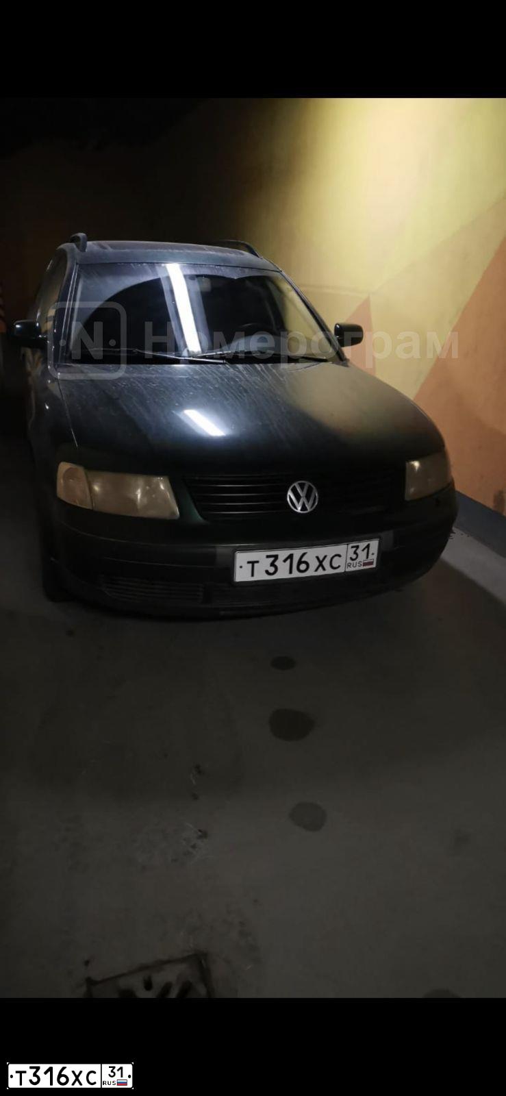 Фото автомобиля VOLKSWAGEN PASSAT, 1999 — госномер Т316ХС31. Цвет: ЗЕЛЕНЫЙ