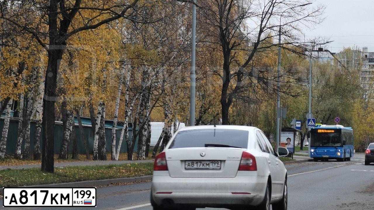 Фото автомобиля SKODA OCTAVIA, 2013 — госномер М536АВ550. Цвет: Белый