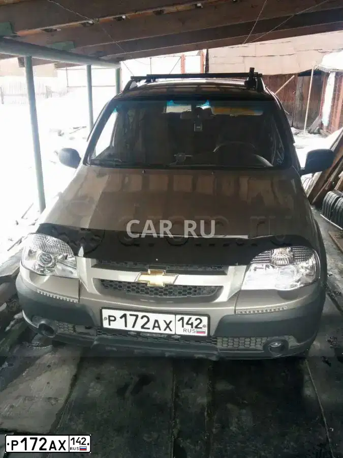 Фото автомобиля CHEVROLET NIVA, 2012 — госномер Р172АХ142. Цвет: СЕРО-КОРИЧНЕВЫЙ МЕТАЛЛИК