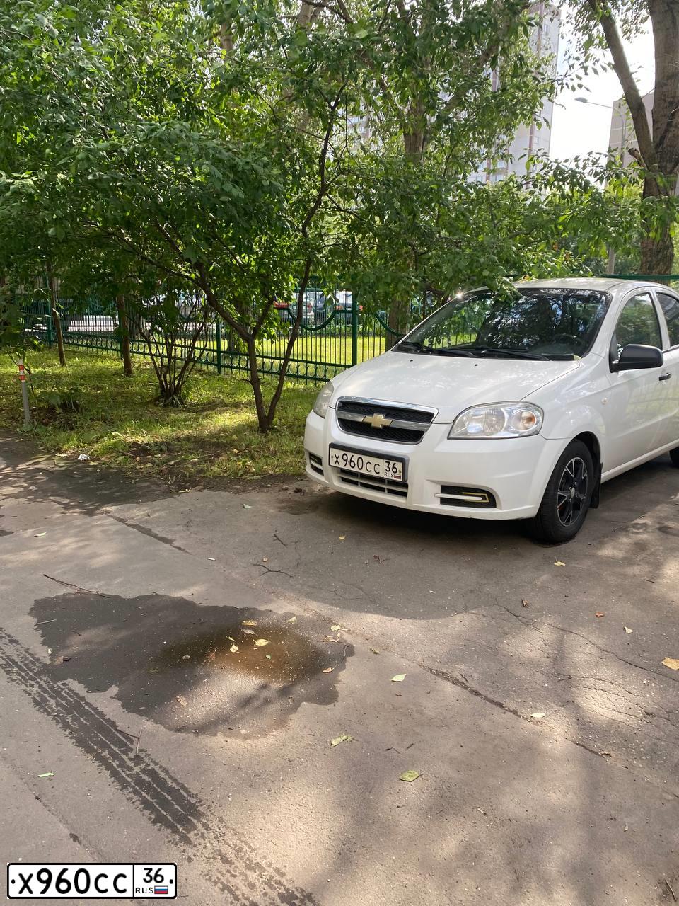 Фото автомобиля CHEVROLET AVEO, 2010 — госномер Н702ОТ761. Цвет: Белый