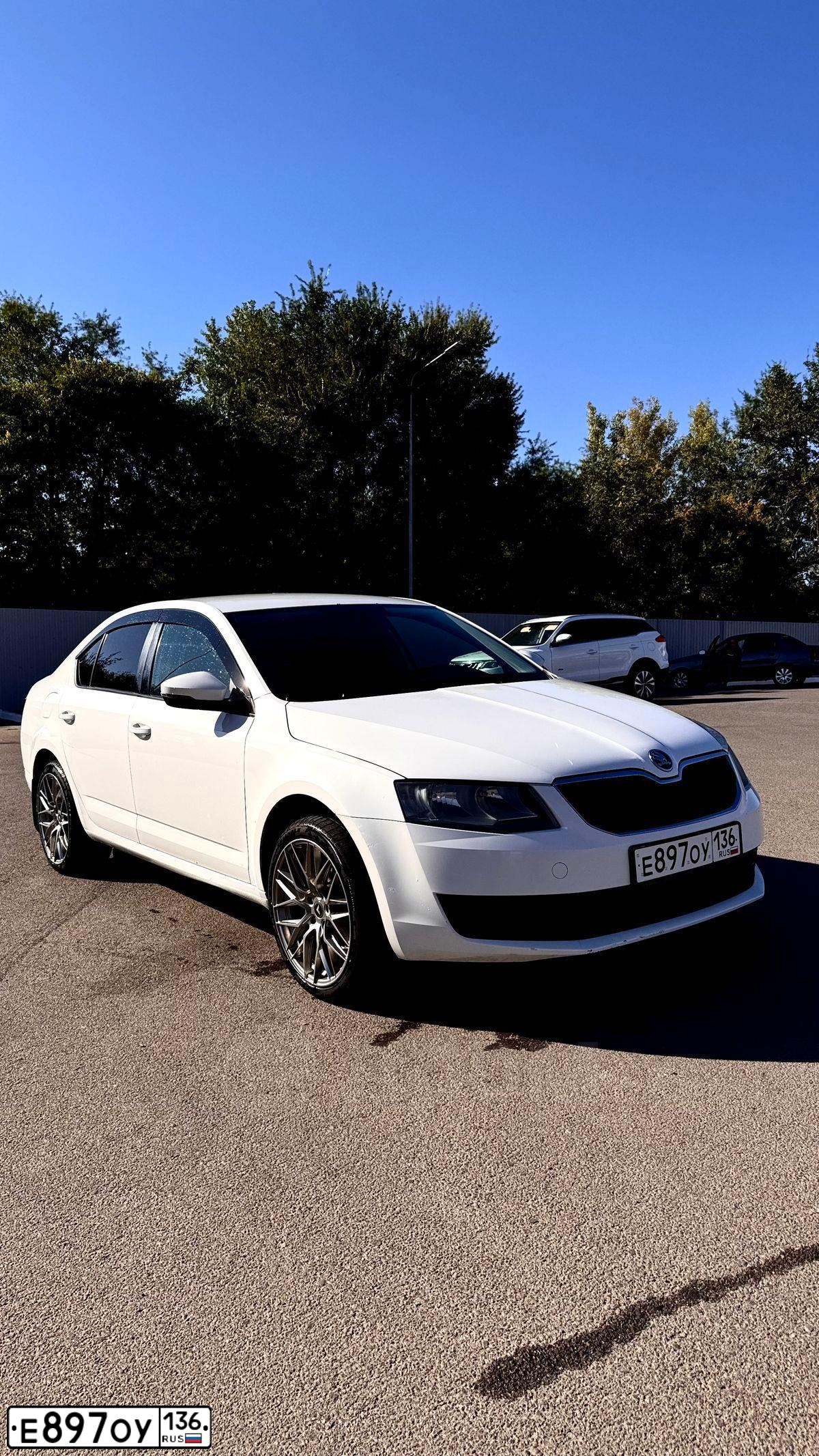Фото автомобиля SKODA OCTAVIA, 2013 — госномер Е897ОУ136. Цвет: Белый
