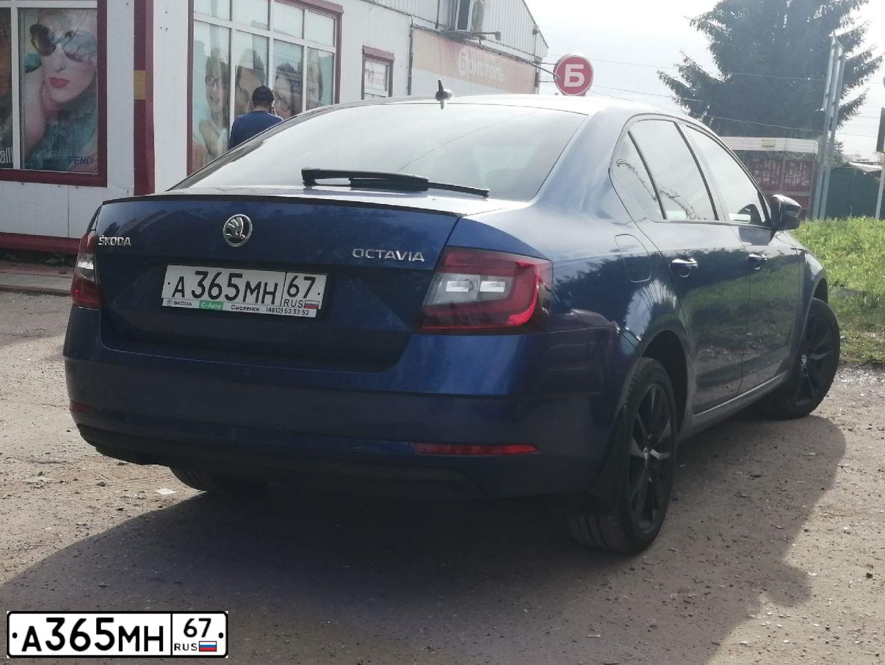 Фото автомобиля SKODA OCTAVIA, 2019 — госномер А365МН67. Цвет: ЯРКО-СИНИЙ
