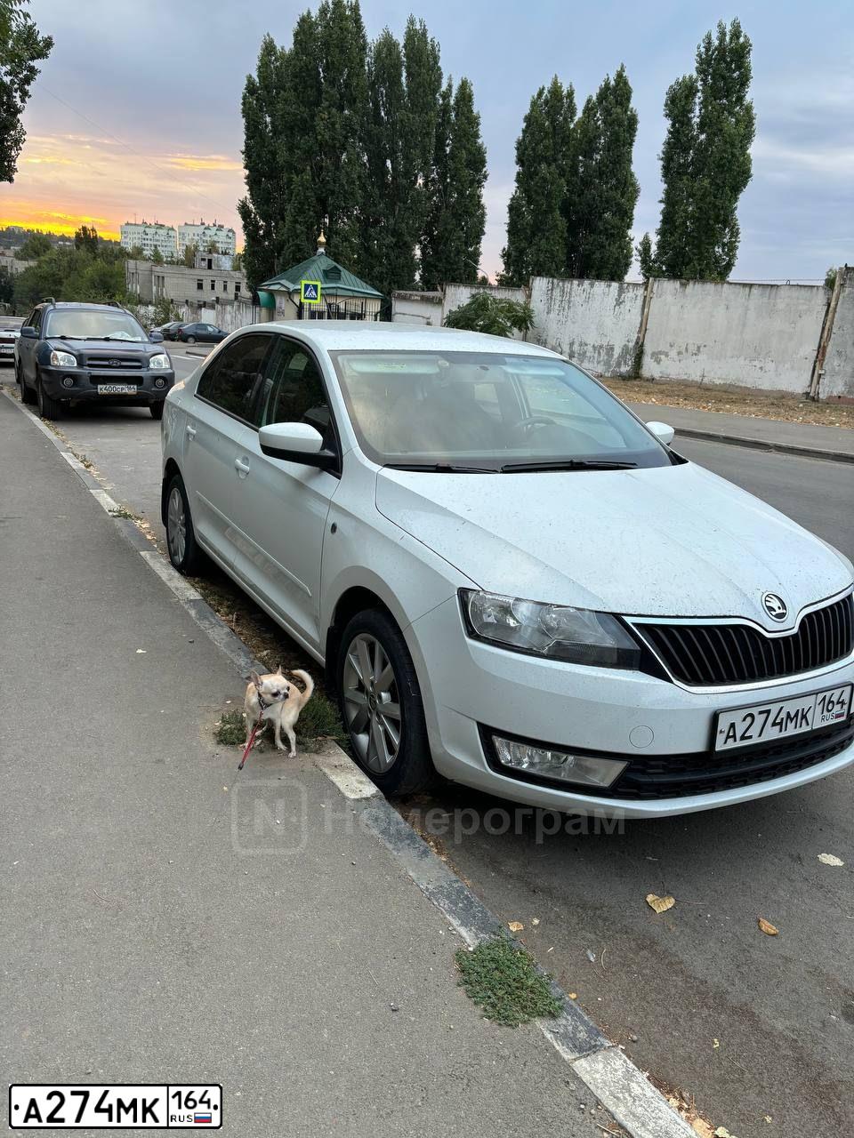 Фото автомобиля SKODA RAPID, 2015 — госномер А274МК164. Цвет: БЕЛЫЙ