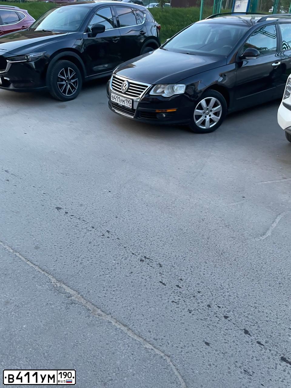 Фото автомобиля VOLKSWAGEN PASSAT, 2009 — госномер Р313ОА790