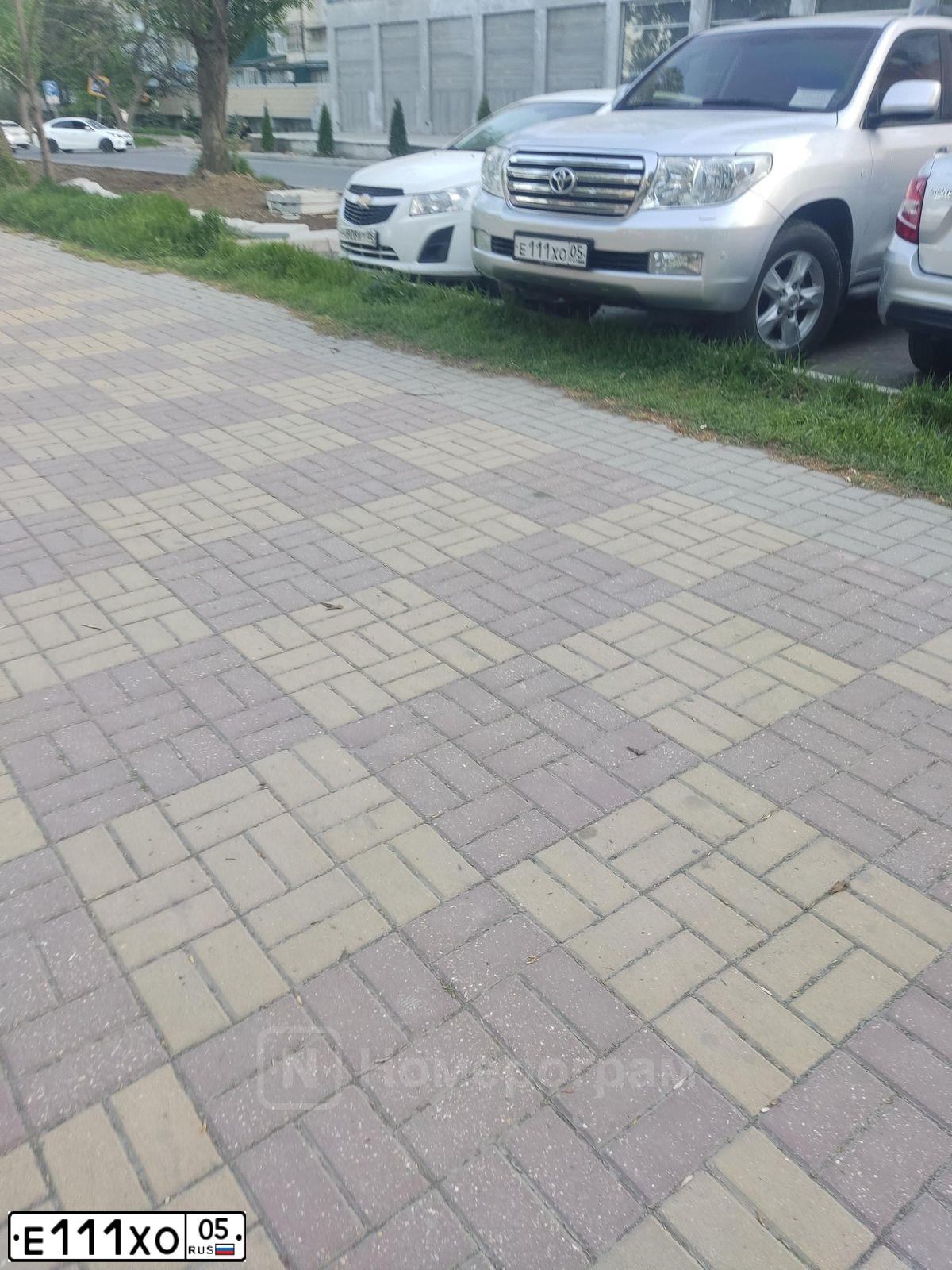Фото автомобиля TOYOTA CAMRY, 2011 — госномер О296ОК05. Цвет: БЕЛЫЙ