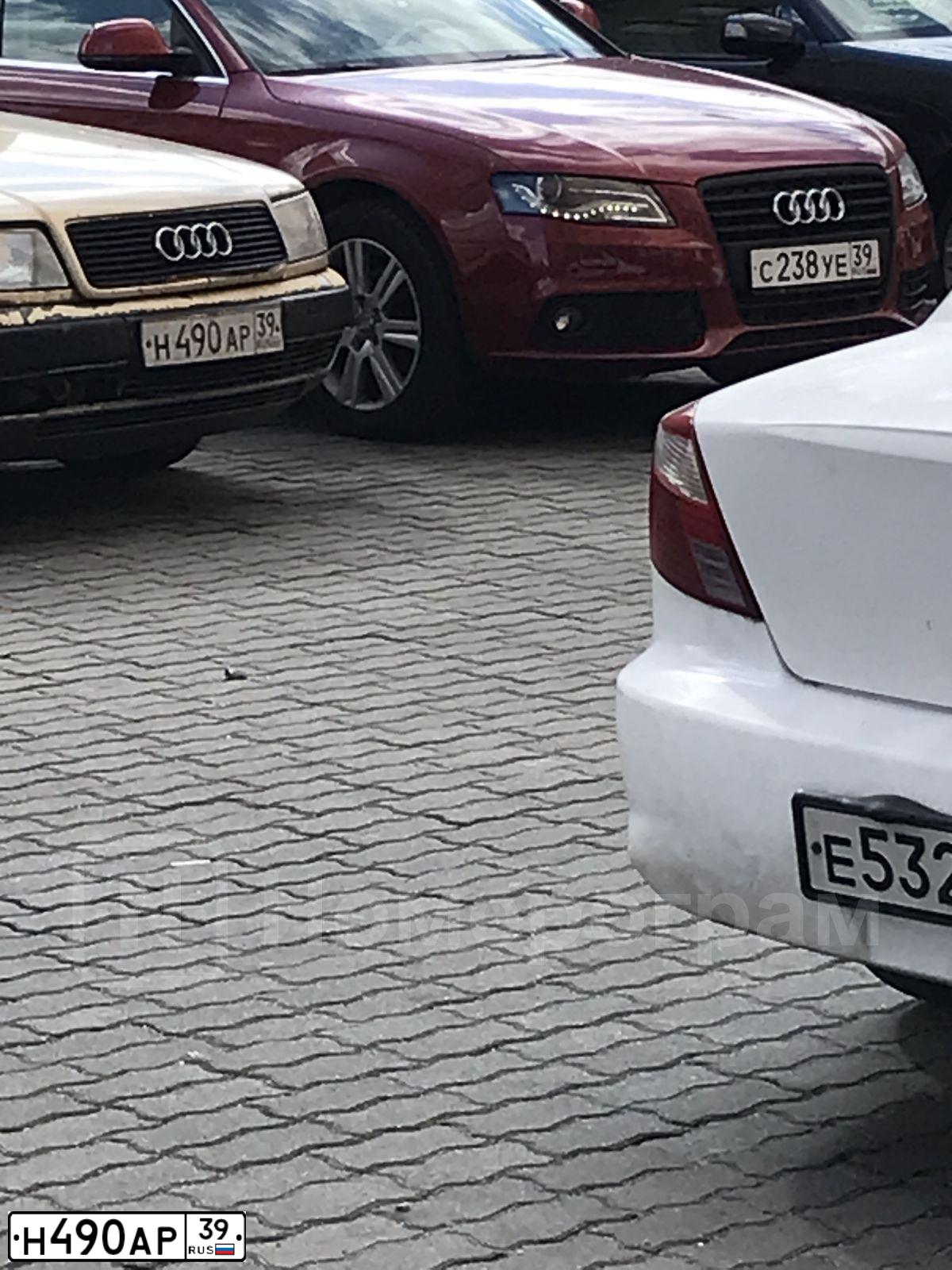 Фото автомобиля AUDI 100, 1991 — госномер Н490АР39. Цвет: ЗОЛОТИСТЫЙ