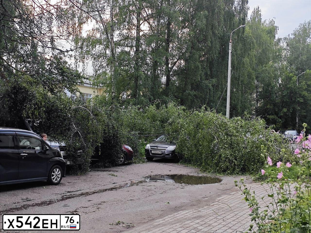 Фото автомобиля OPEL ASTRA, 2012 — госномер Х542ЕН76. Цвет: ТЕМНО-СЕРЫЙ