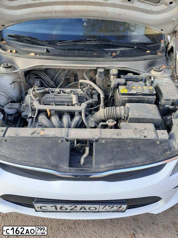 Фото автомобиля KIA RIO, 2017 — госномер Р291УА69. Цвет: Белый