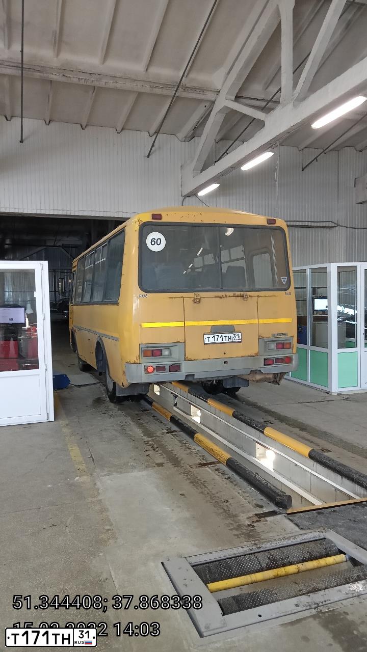 Фото автомобиля PAZ 3205, 2008 — госномер Т171ТН31. Цвет: ЖЕЛТЫЙ