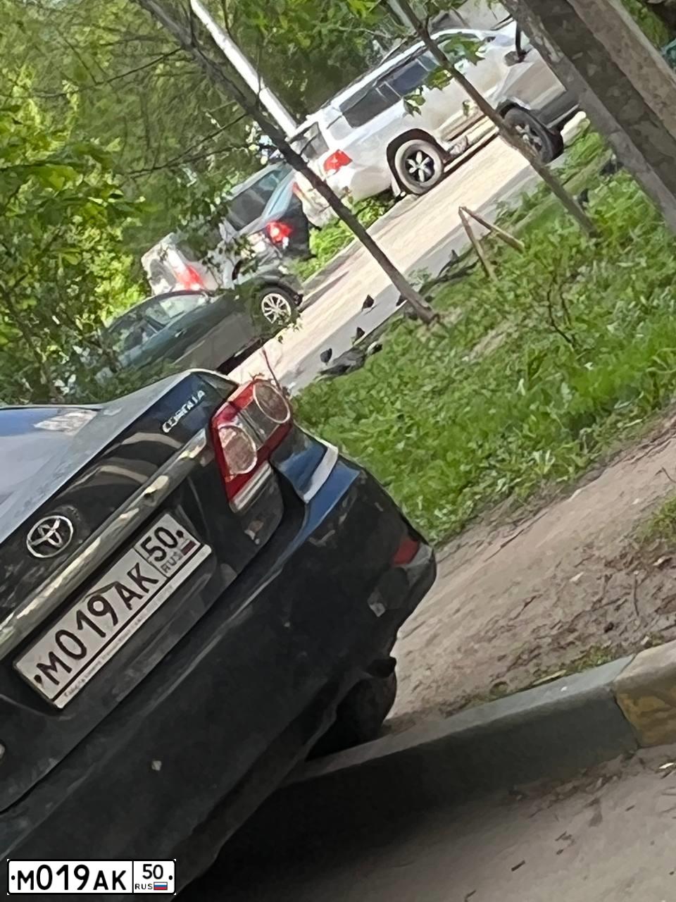 Фото автомобиля TOYOTA COROLLA, 2011 — госномер М019АК50. Цвет: ЧЕРНЫЙ