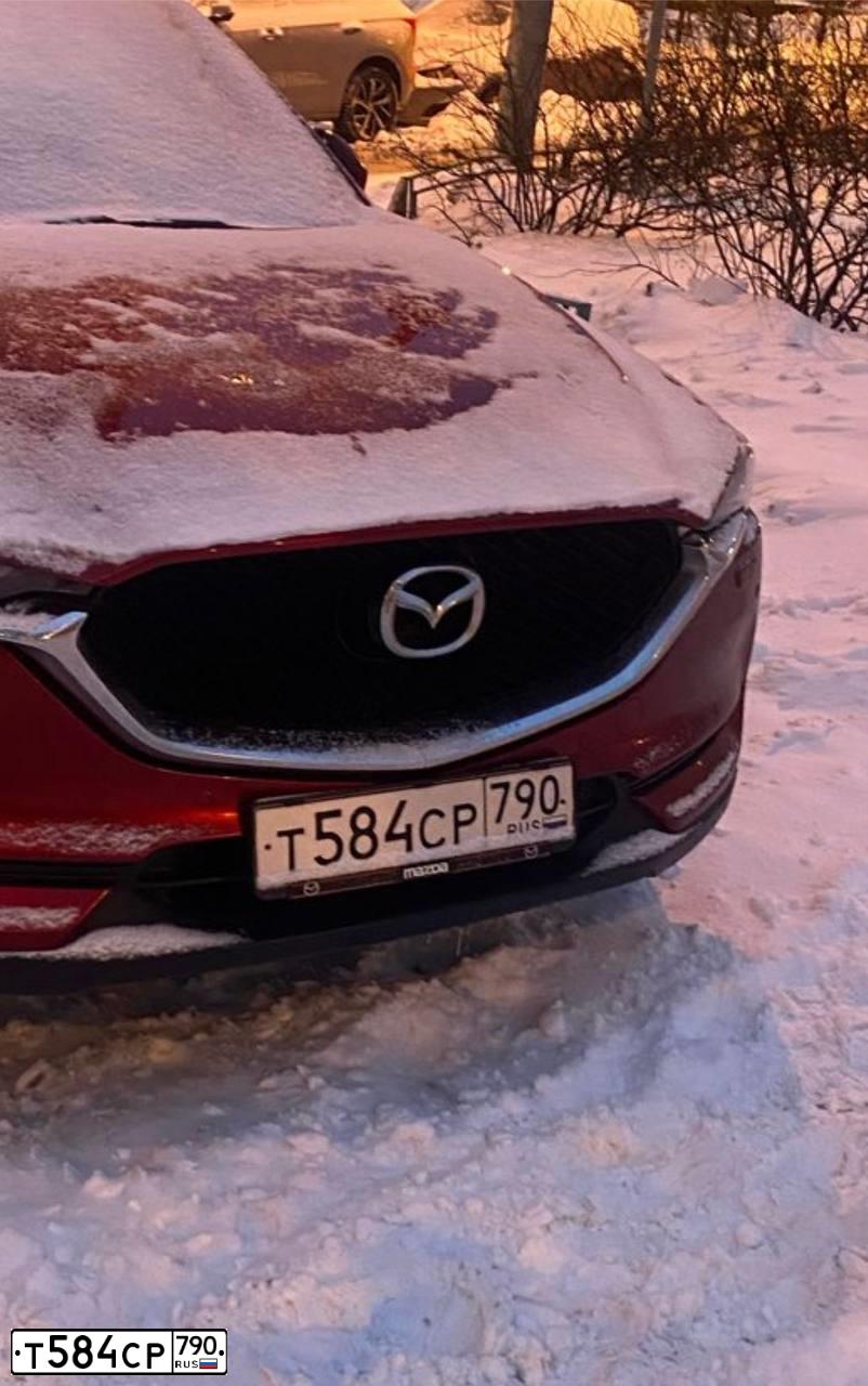 Фото автомобиля MAZDA CX-5, 2019 — госномер Т584СР790. Цвет: Красный