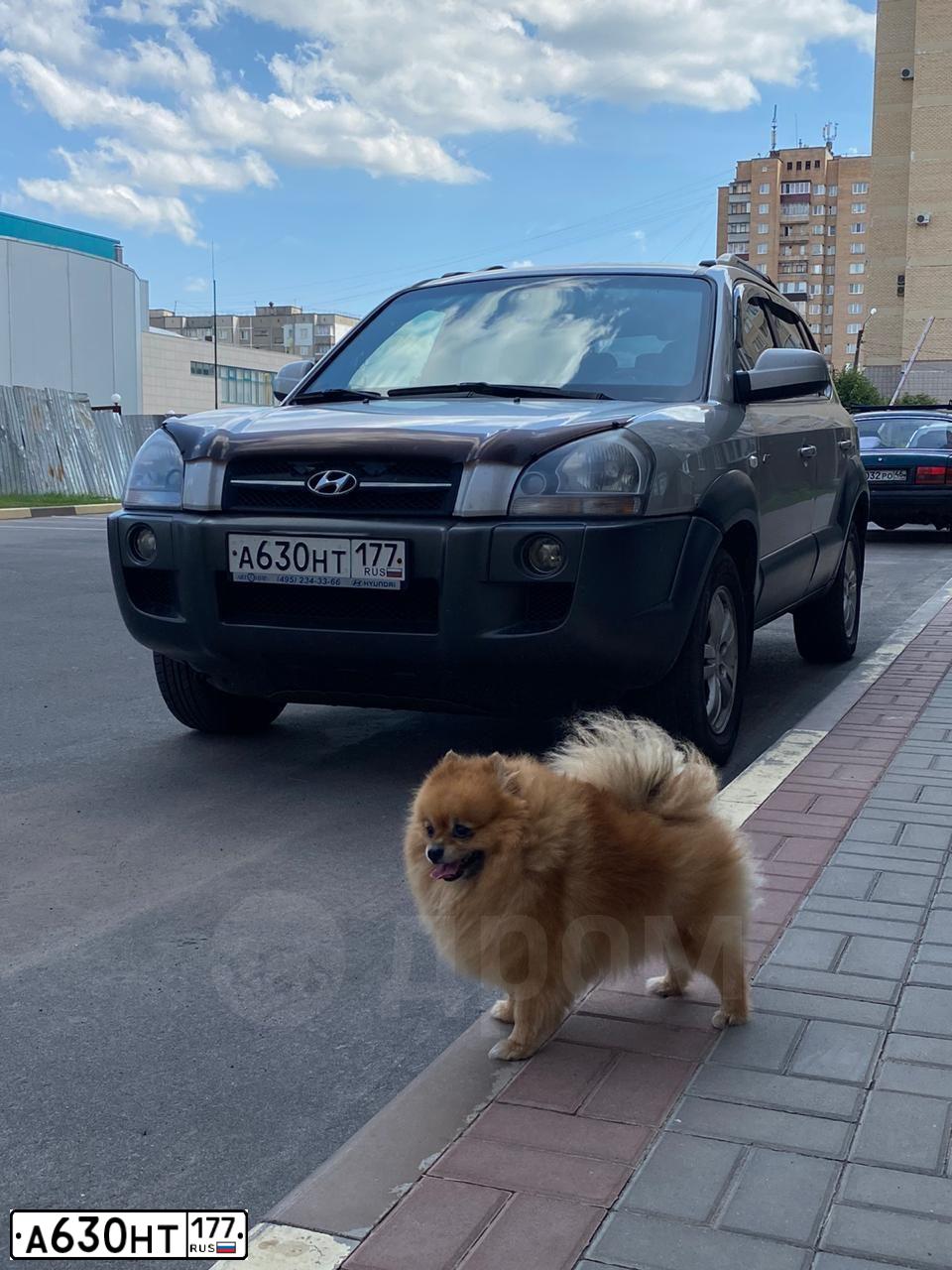 Фото автомобиля HYUNDAI TUCSON, 2006 — госномер О190МН46. Цвет: СЕРЫЙ