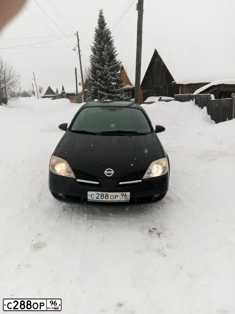 Фото автомобиля NISSAN PRIMERA, 2005 — госномер С288ОР96. Цвет: ЧЕРНЫЙ