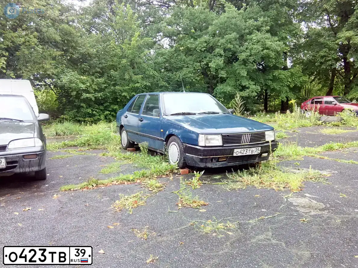 Фото автомобиля FIAT CROMA, 1988 — госномер О423ТВ39. Цвет: синий