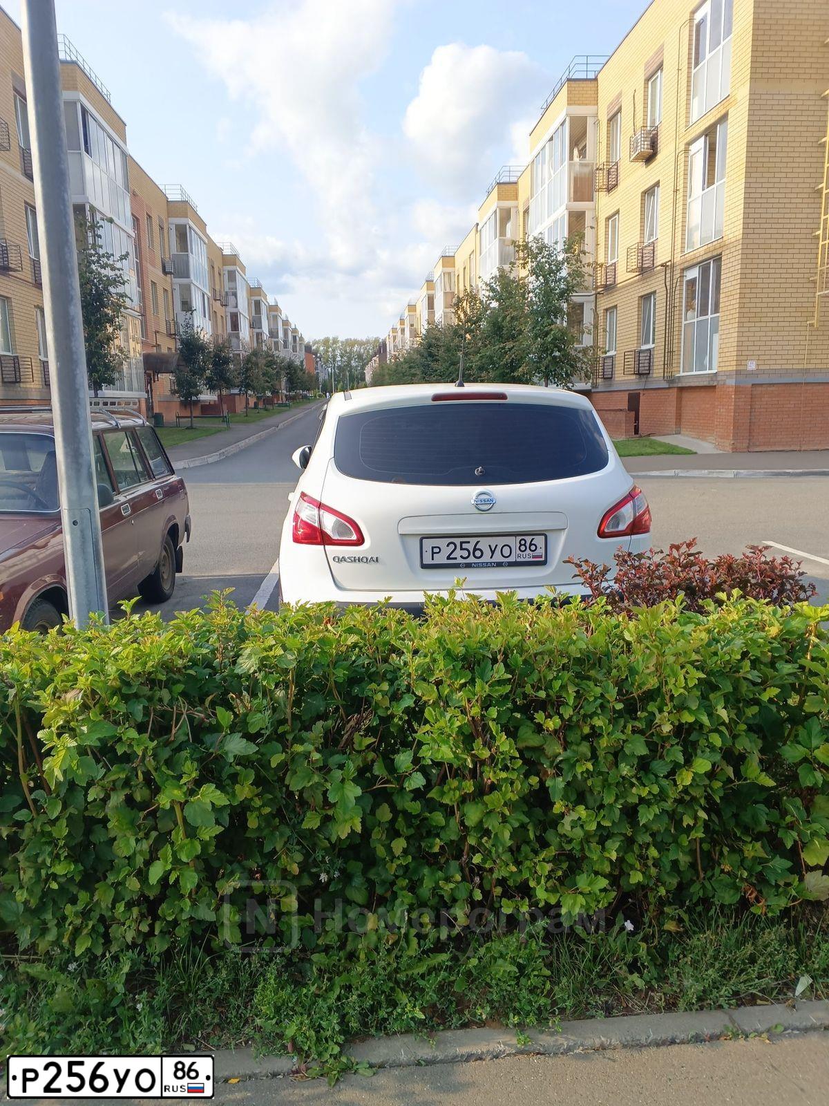 Фото автомобиля NISSAN QASHQAI, 2010 — госномер Р256УО86. Цвет: БЕЛЫЙ