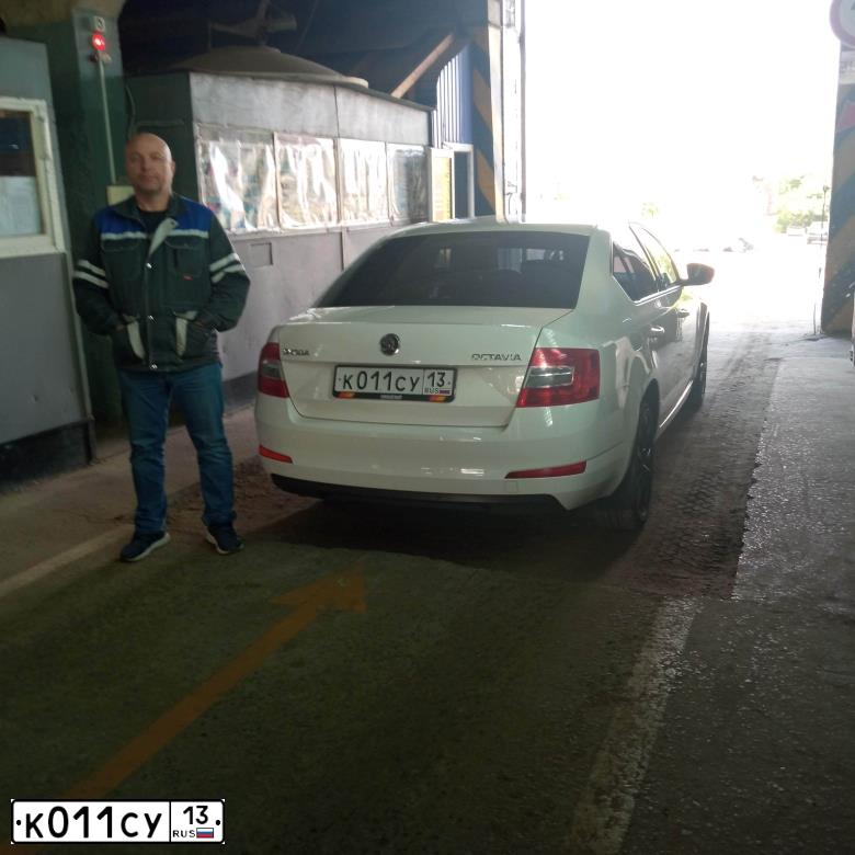 Фото автомобиля SKODA OCTAVIA, 2014 — госномер К011СУ13. Цвет: Белый
