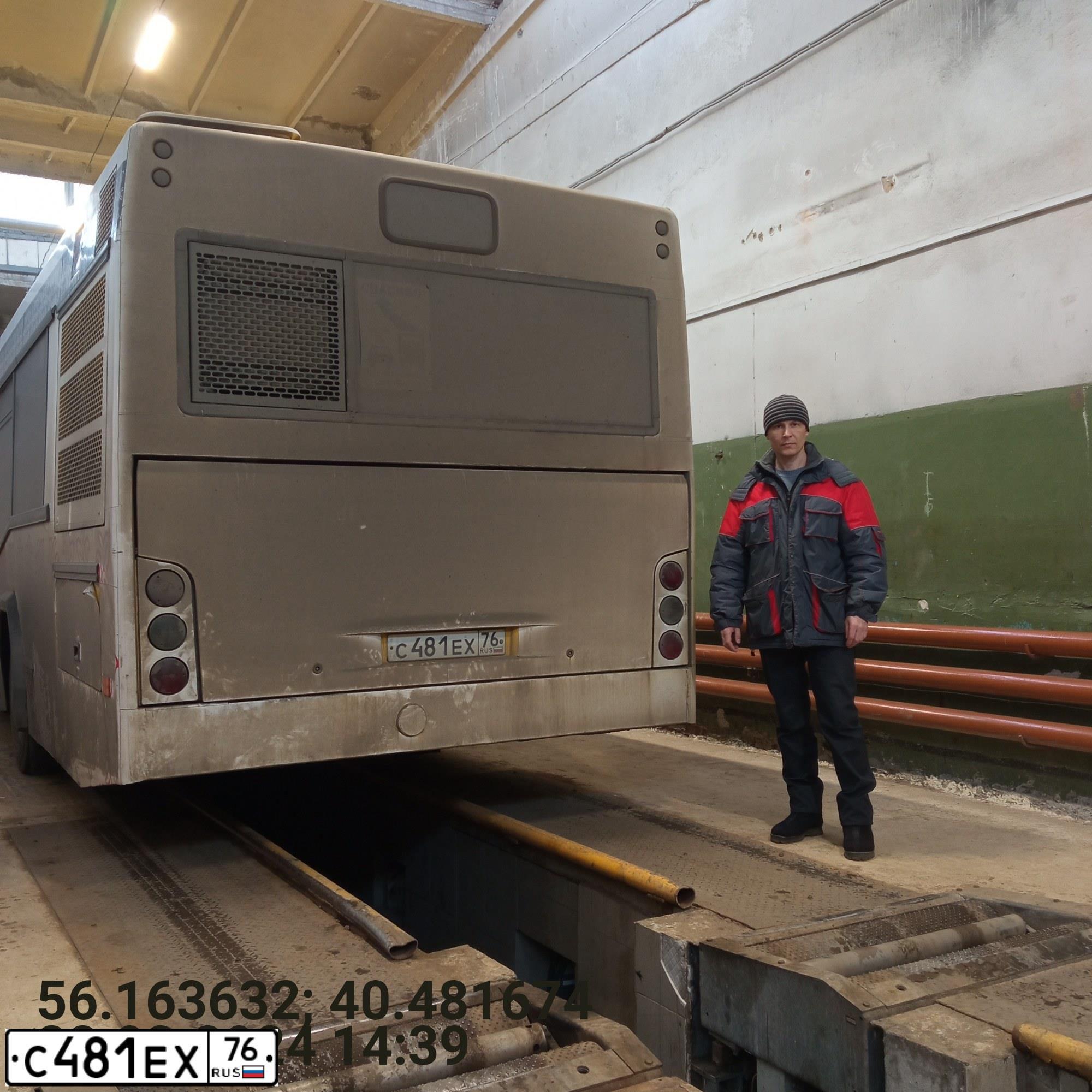 Фото автомобиля MAZ 103, 2013 — госномер С481ЕХ76. Цвет: ЖЕЛТЫЙ