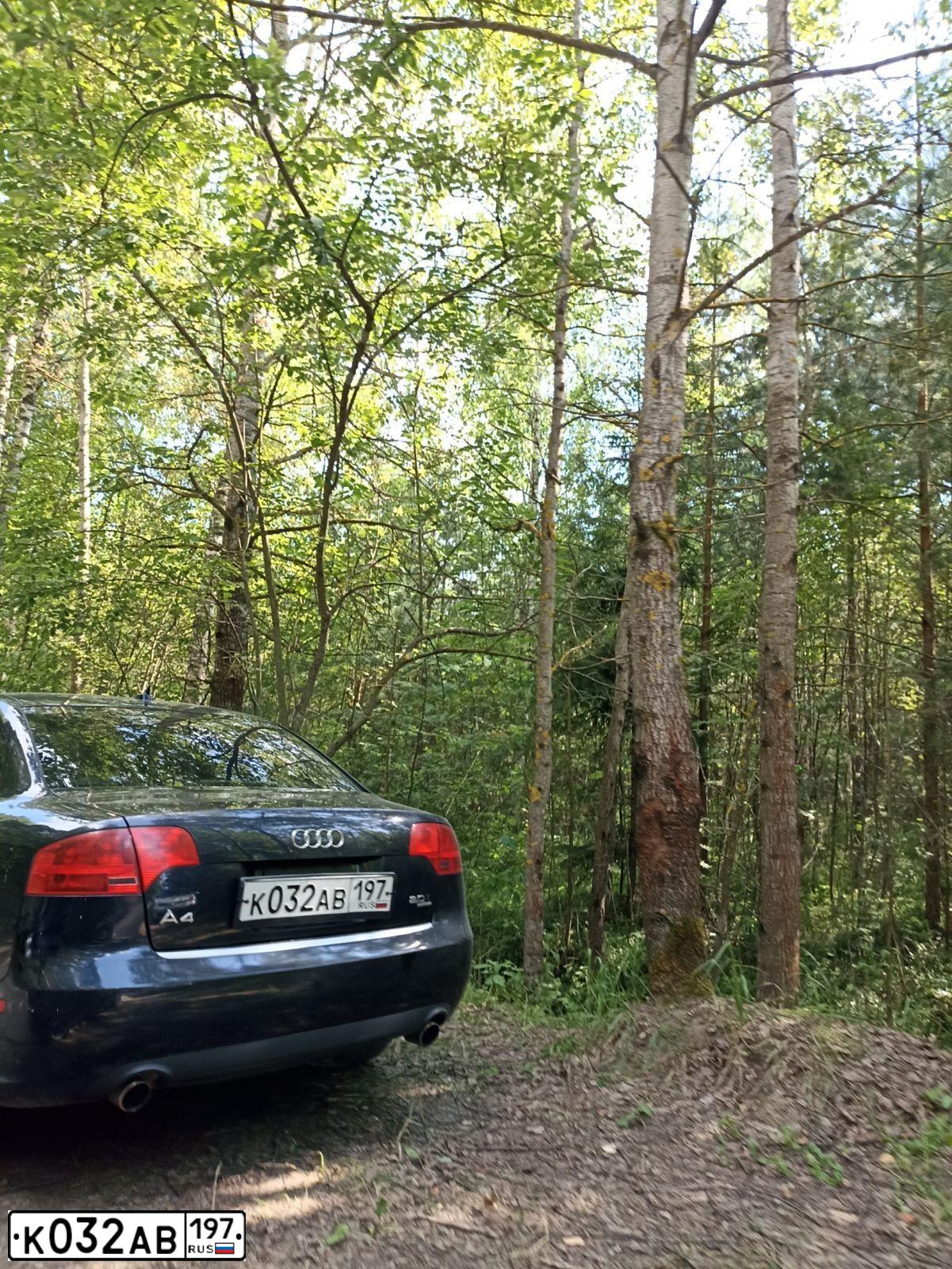 Фото автомобиля AUDI A4, 2006 — госномер К032АВ197. Цвет: ТЕМНО-СИНИЙ