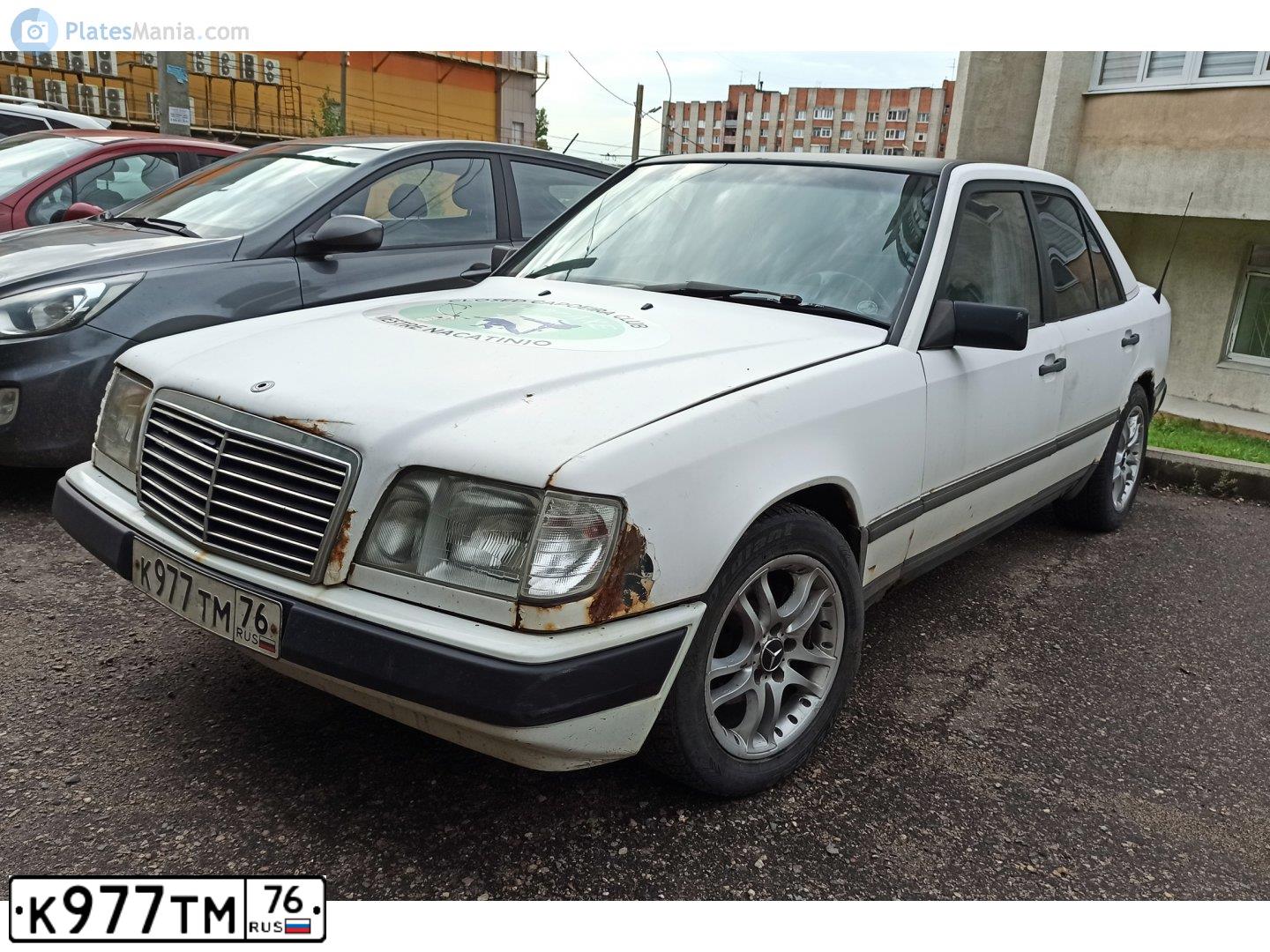 Фото автомобиля MERCEDES E-KLASSE, 1986 — госномер К977ТМ76. Цвет: Белый
