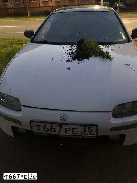 Фото автомобиля MAZDA 323, 1995 — госномер Т805ХВ31. Цвет: Белый
