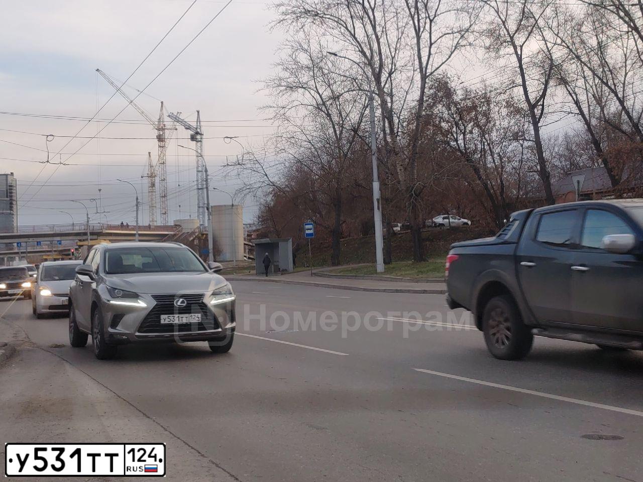 Фото автомобиля LEXUS NX, 2017 — госномер У531ТТ124. Цвет: СВЕТЛО-СЕРЫЙ