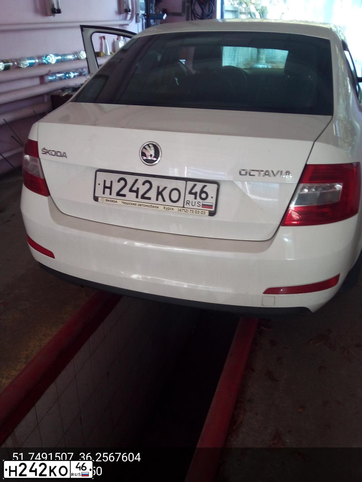 Фото автомобиля SKODA OCTAVIA, 2014 — госномер Н242КО46. Цвет: БЕЛЫЙ