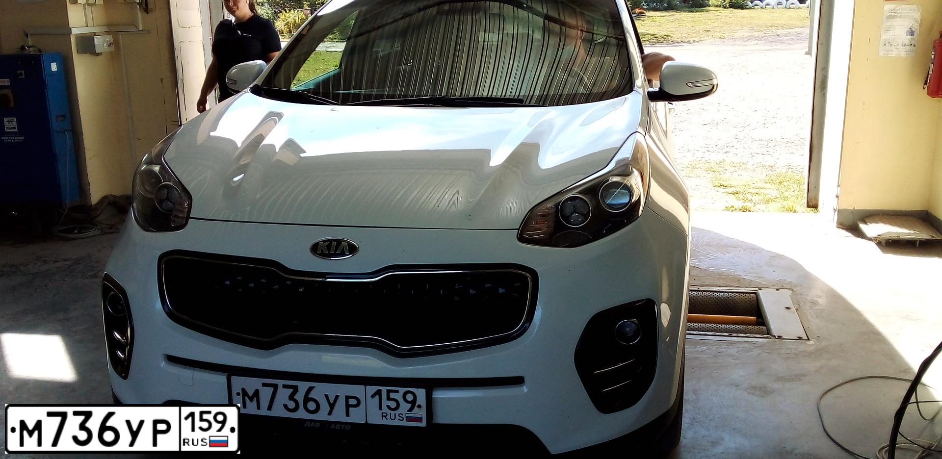 Фото автомобиля KIA SPORTAGE, 2017 — госномер М736УР159