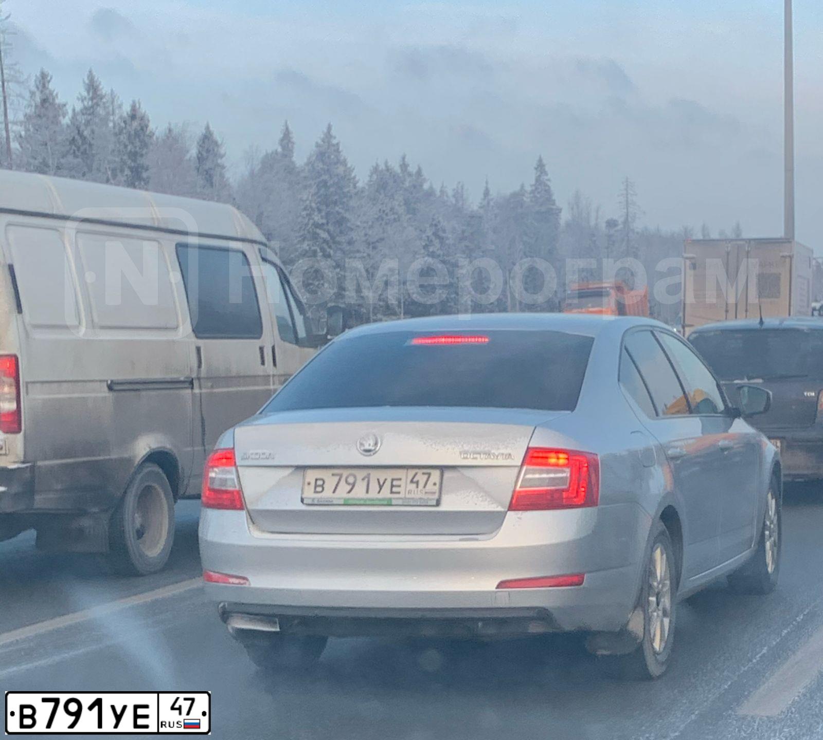 Фото автомобиля SKODA OCTAVIA, 2016 — госномер М775АК198. Цвет: СЕРЕБРИСТЫЙ