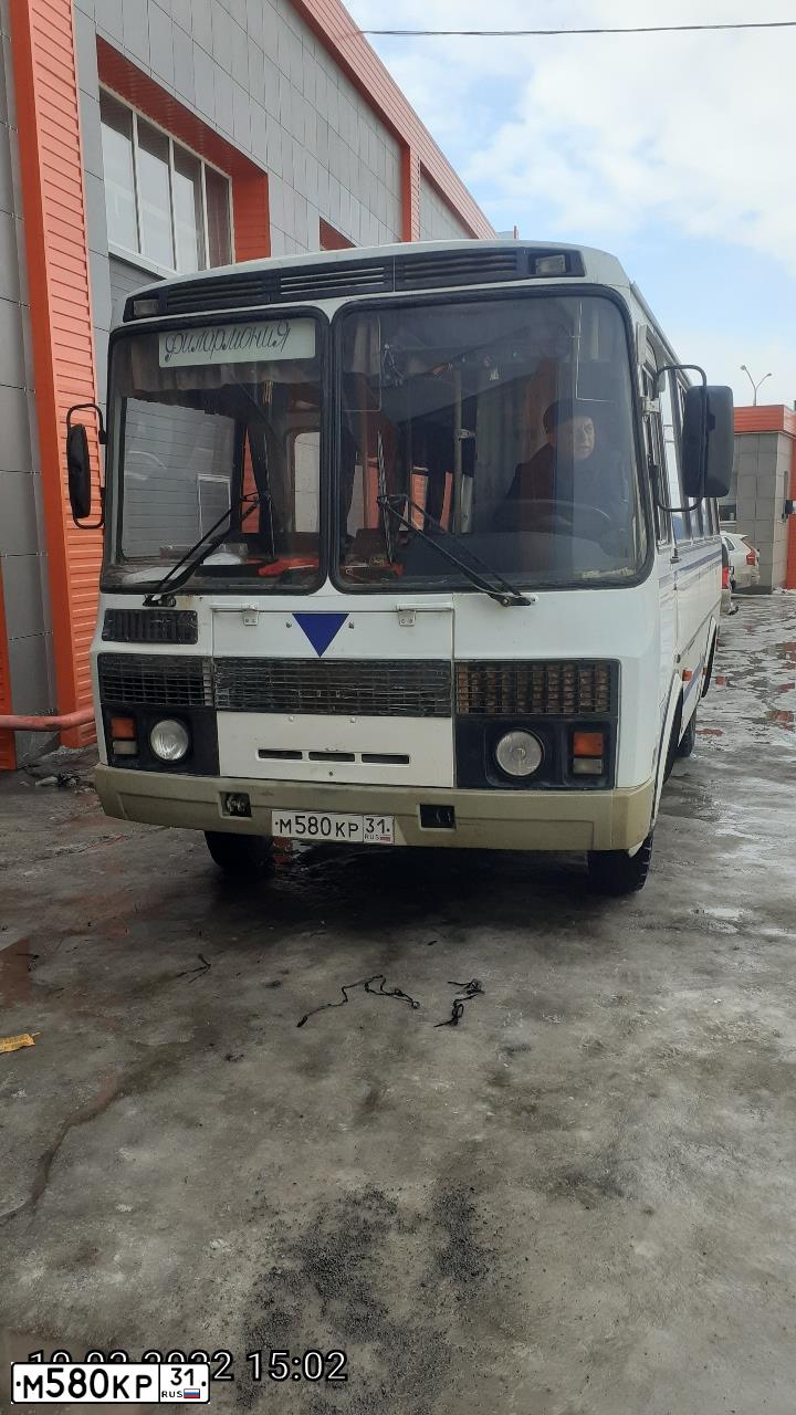 Фото автомобиля PAZ 3204, 2017 — госномер О273ТТ31. Цвет: БЕЛЫЙ