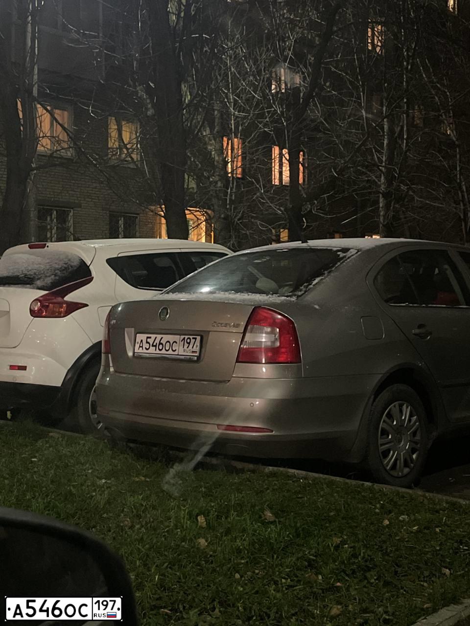 Фото автомобиля SKODA OCTAVIA, 2011 — госномер А546ОС197. Цвет: СЕРЫЙ