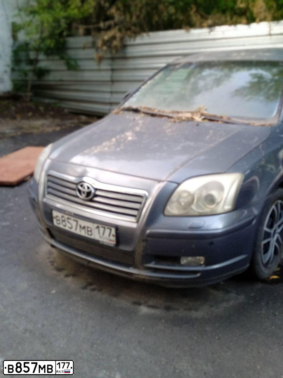 Фото автомобиля TOYOTA AVENSIS, 2003 — госномер В857МВ177. Цвет: СЕРЫЙ
