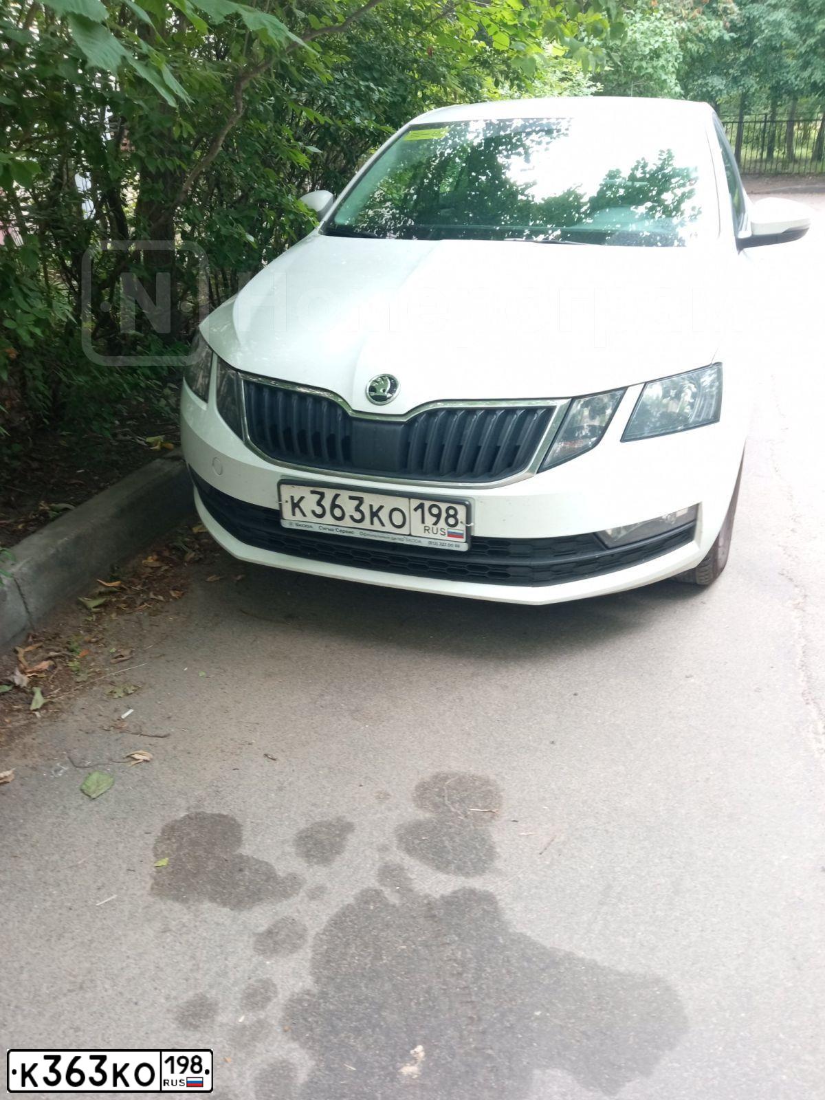 Фото автомобиля SKODA OCTAVIA, 2020 — госномер Н729РМ10. Цвет: Белый