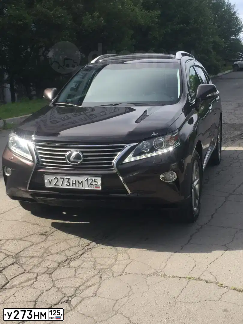 Фото автомобиля LEXUS RX, 2013 — госномер У273НМ125. Цвет: БРОНЗОВЫЙ