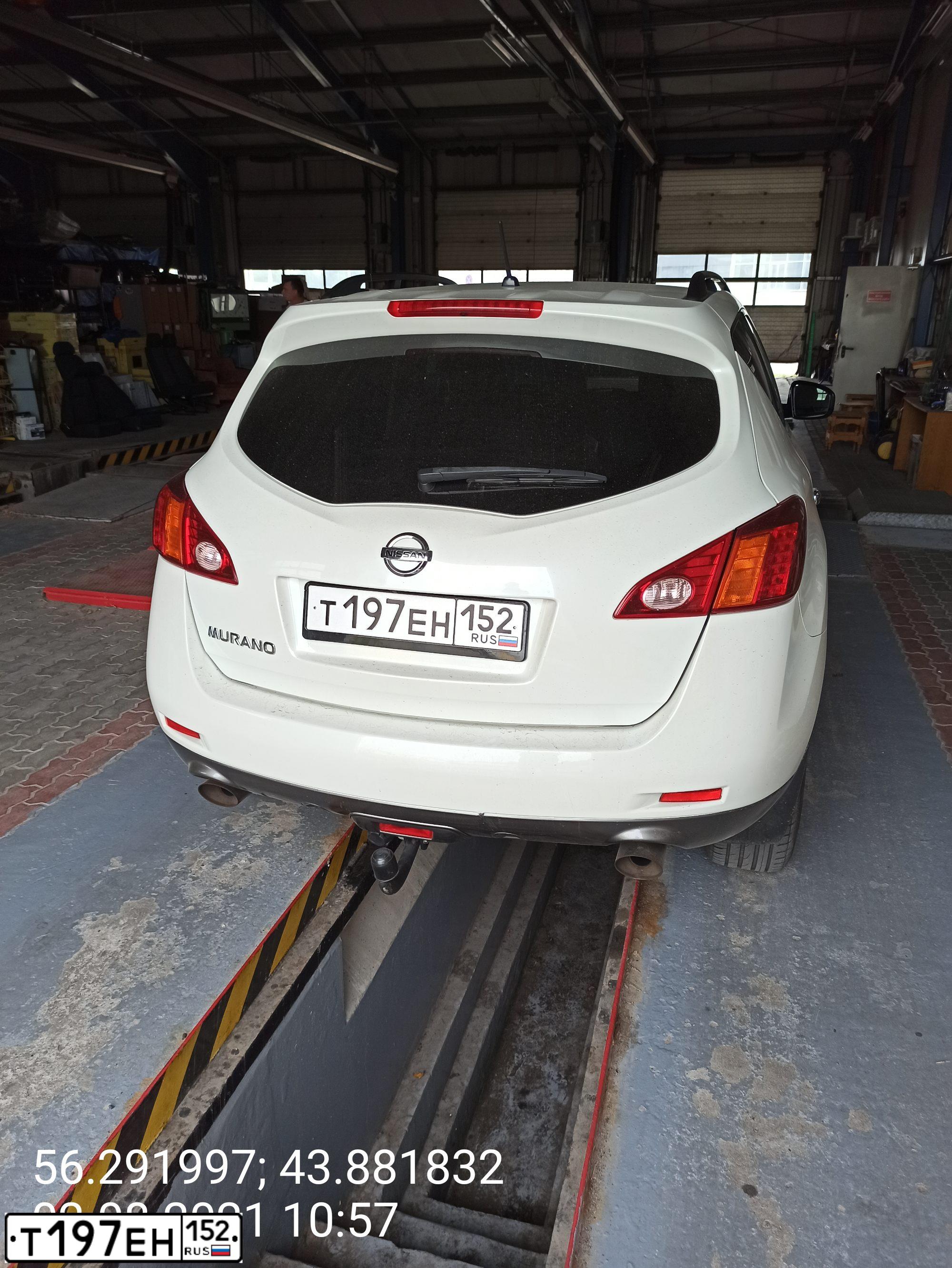 Фото автомобиля NISSAN MURANO, 2009 — госномер Т244СО152. Цвет: Белый