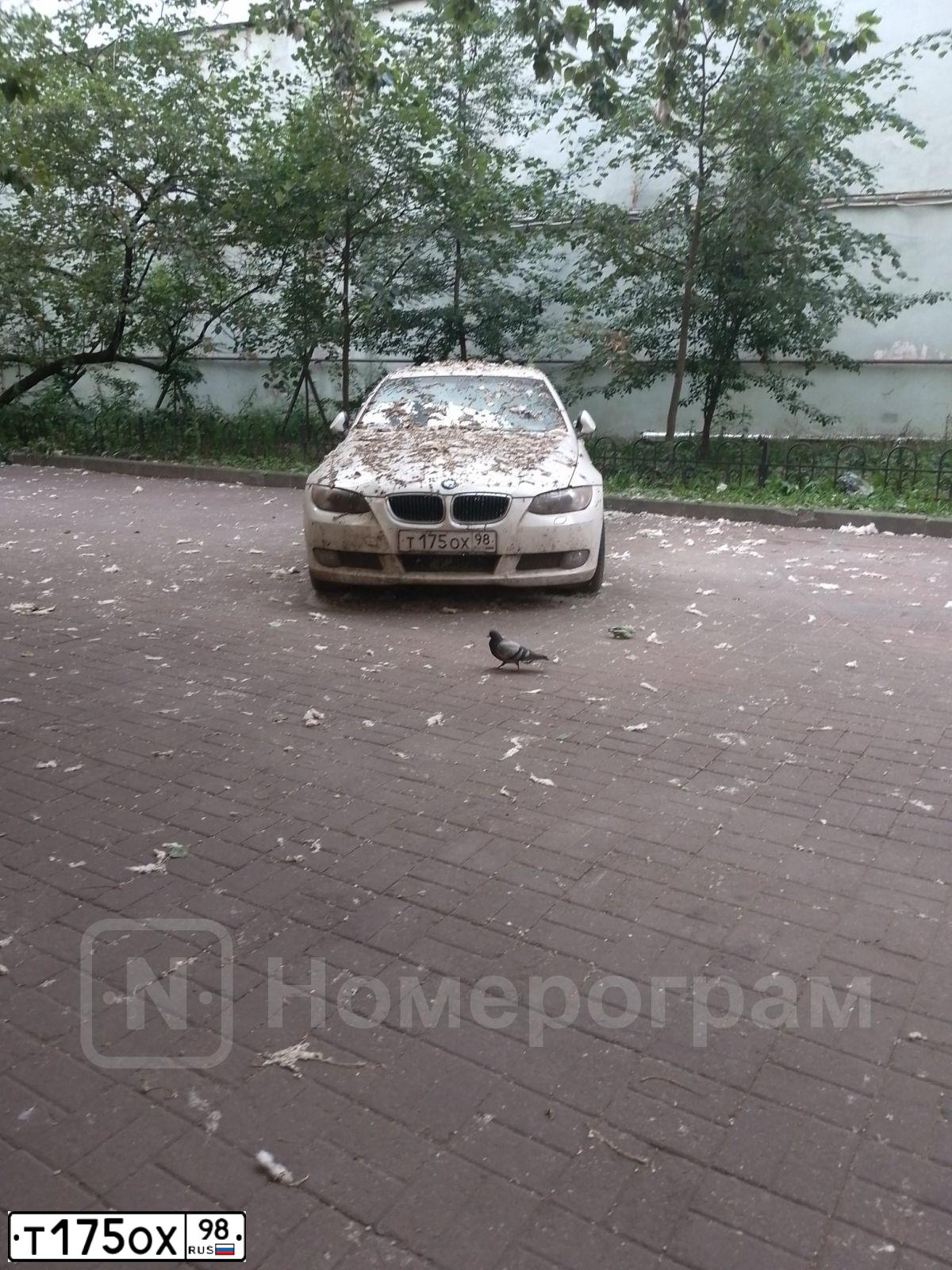 Фото автомобиля BMW SERIE 3, 2008 — госномер Т175ОХ98. Цвет: БЕЛЫЙ