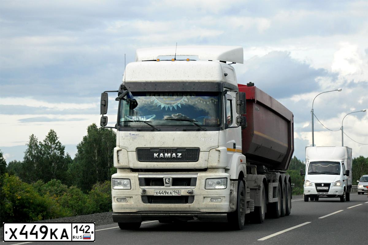 Фото автомобиля KAMAZ 5490, 2018 — госномер Р088НН142. Цвет:  белый RAL 9010