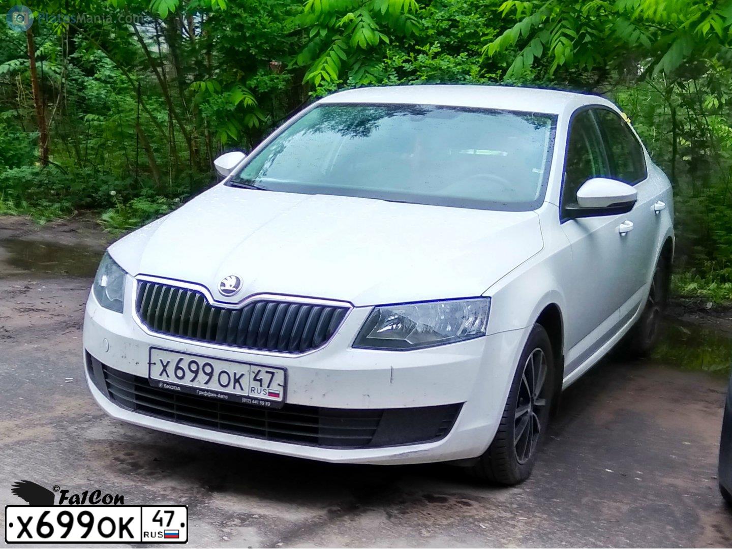 Фото автомобиля SKODA OCTAVIA, 2013 — госномер К693УР198