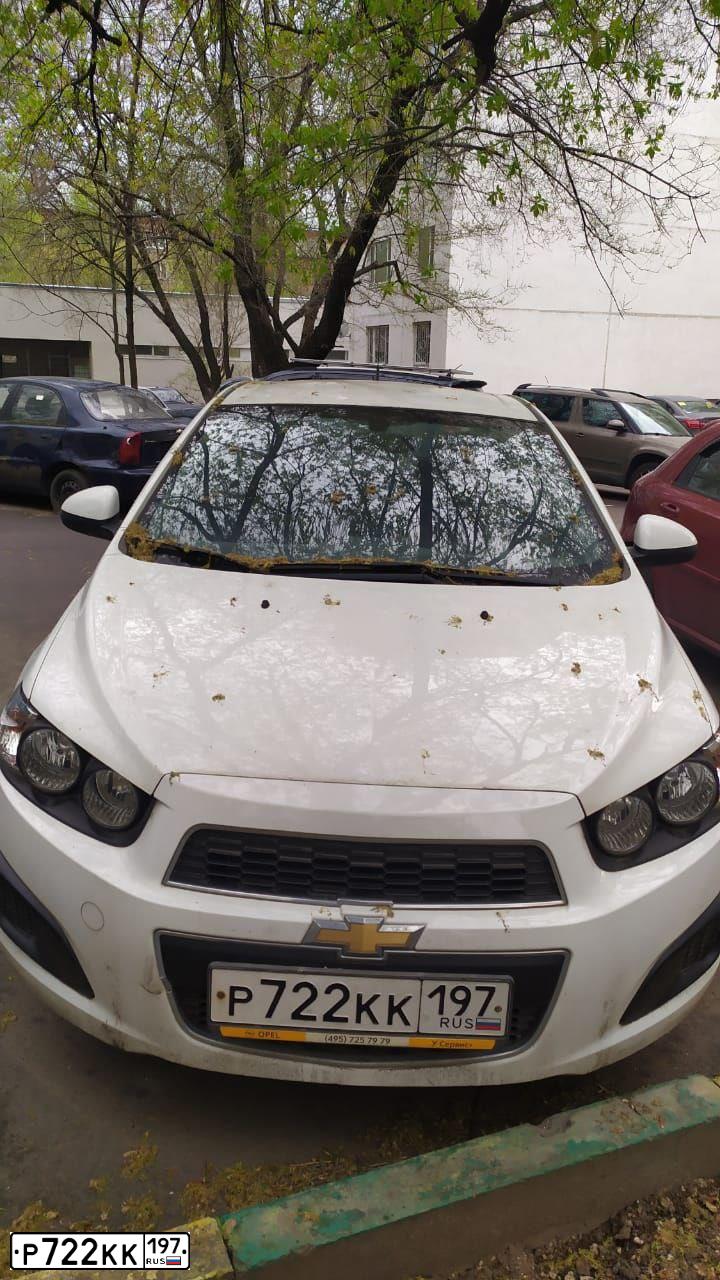 Фото автомобиля LADA 2170 PRIORA, 2011 — госномер Р722КК197. Цвет: СРЕДНИЙ СЕРО-ЗЕЛЕНЫЙ МЕТАЛЛ