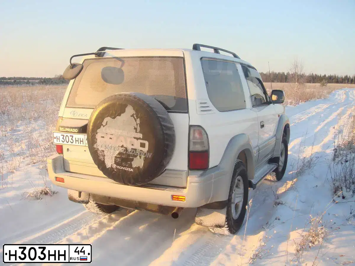 Фото автомобиля RENAULT DUSTER, 2015 — госномер Н303НН44. Цвет: Белый