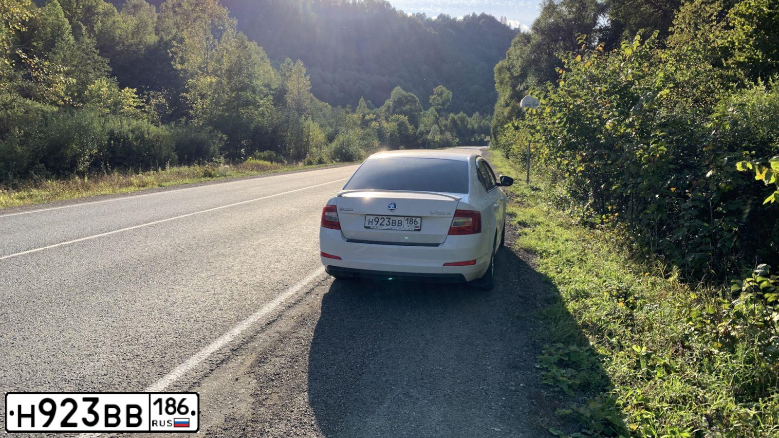 Фото автомобиля SKODA OCTAVIA, 2015 — госномер В985ОС186. Цвет: Белый