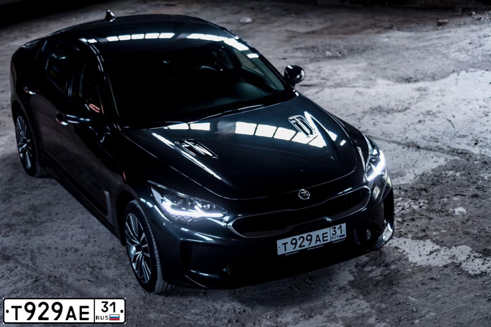 Фото автомобиля KIA STINGER, 2019 — госномер Т929АЕ31. Цвет: СЕРЫЙ