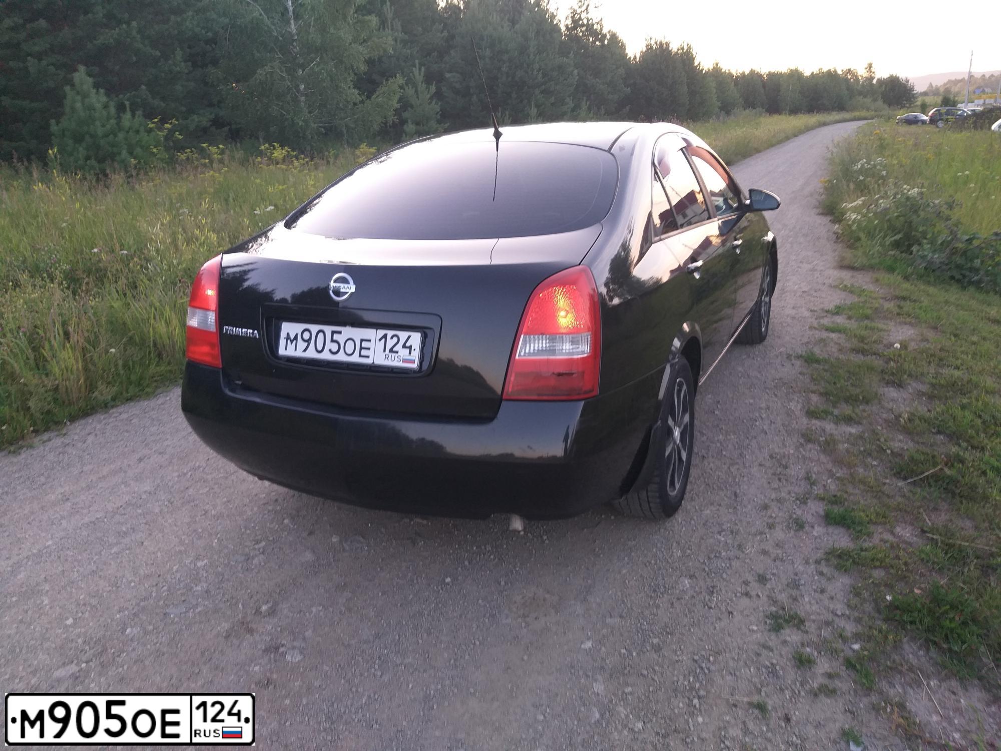 Фото автомобиля NISSAN PRIMERA, 2006 — госномер М905ОЕ124. Цвет: ЧЕРНЫЙ