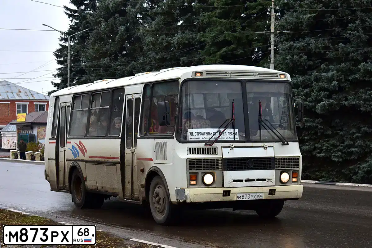 Фото автомобиля PAZ 4234, 2010 — госномер М873РХ68. Цвет: Белый
