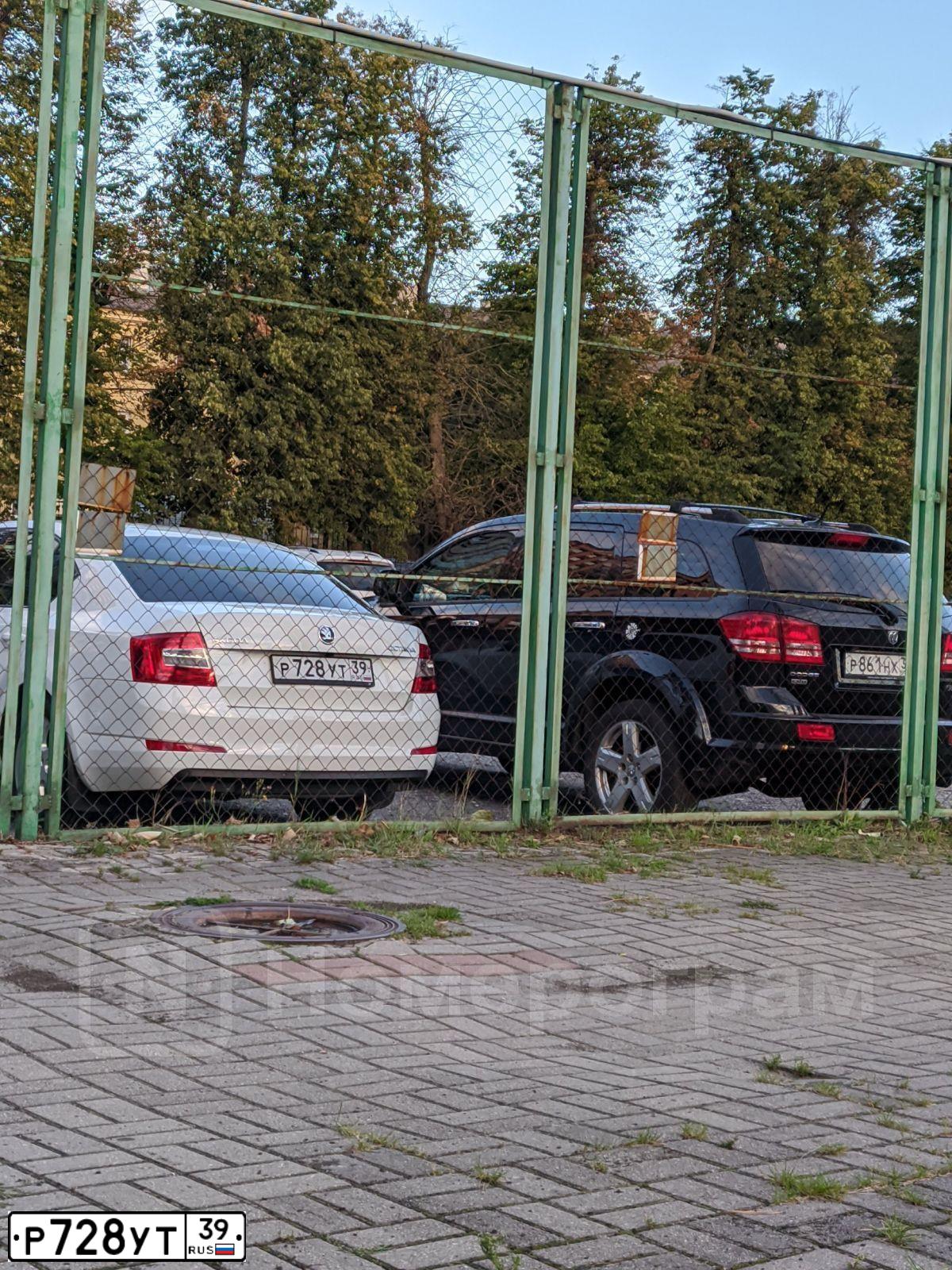 Фото автомобиля SKODA OCTAVIA, 2016 — госномер К822СО763. Цвет: Белый
