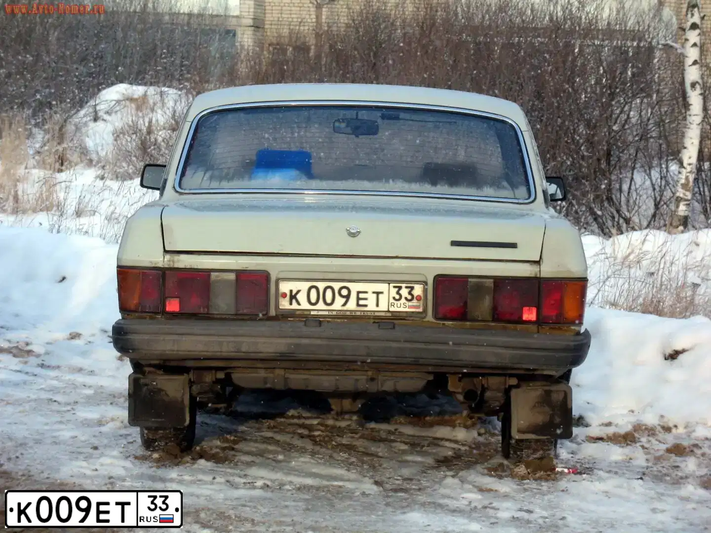 Фото автомобиля ГАЗ 31029, 1994 — госномер К009ЕТ33. Цвет: БЕЛАЯ НОЧЬ